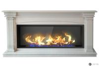 Биокамин Zefire в линейном портале Нимбус со стемалитом