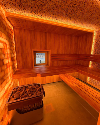 Электрическая печь для бани и сауны Born Stone 11 кВт Электрическая печь для бани и сауны Born Stone 11 кВт