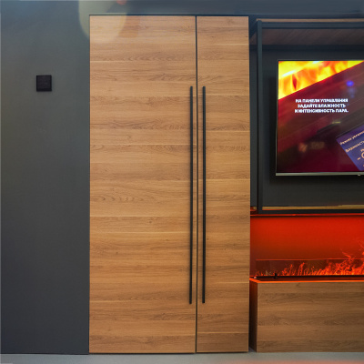 Сушильный шкаф Schӧnes Haus (встраиваемый, для скрытого монтажа)