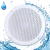 Влагостойкий динамик Steam & Water - VISATON (белый) Влагостойкий динамик Steam & Water - VISATON (белый)
