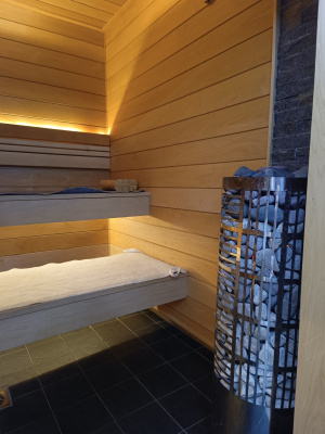  Электрическая печь для бани и сауны Born Line 7 кВт (черный корпус)