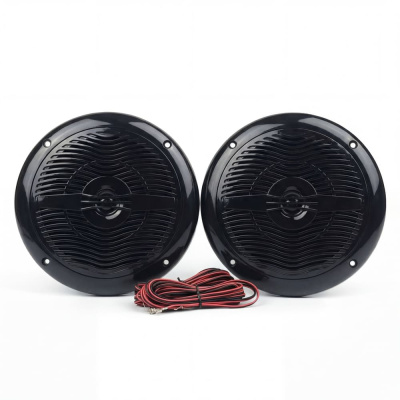 Термостойкие динамики SteamLux Music System PREMIUM (Стимлюкс Премиум) (черный)