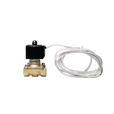 Система автоматической подачи пара BORN® Steamboost (ручное управление, кнопка)