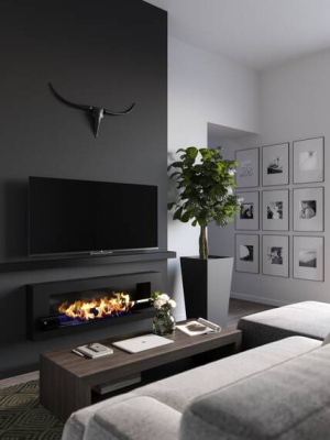 Биокамин Zefire Orion 1200 (черный со стеклом) Биокамин Zefire Orion 1200 (черный со стеклом)